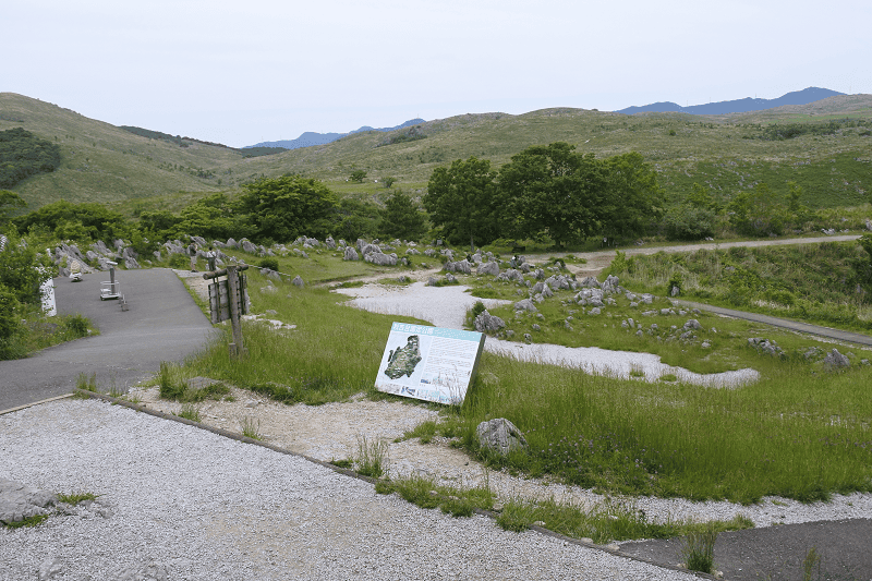 【山口美禰】喀斯特地形秋吉台 【山口美禰】喀斯特地形秋吉台