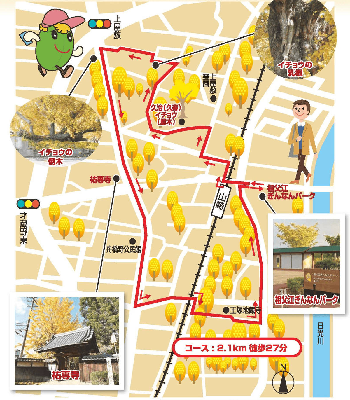 【愛知稻沢】祖父江11月中旬舉辦的黃葉祭東海地區最有名的