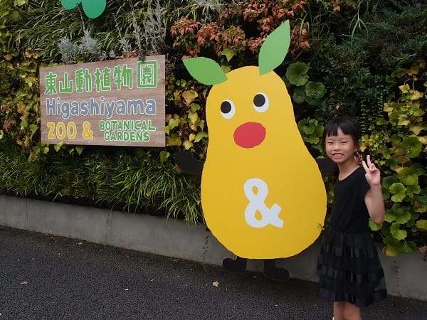 【名古屋】東山動植物園明星動物無尾熊以及超人氣大猩猩夏巴尼