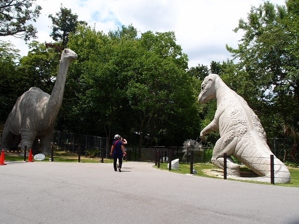 【名古屋】東山動植物園明星動物無尾熊以及超人氣大猩猩夏巴尼