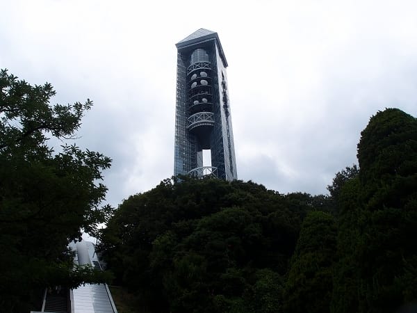 【名古屋】東山動植物園明星動物無尾熊以及超人氣大猩猩夏巴尼