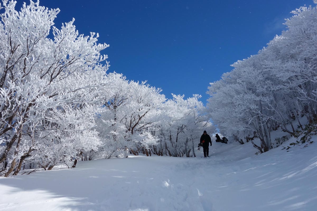 【三重湯之山溫泉】搭乘纜車前往御在所岳山頂秋有紅葉、冬有