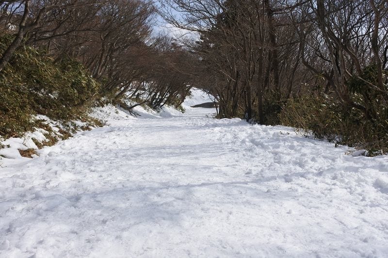 【三重湯之山溫泉】搭乘纜車前往御在所岳山頂秋有紅葉、冬有