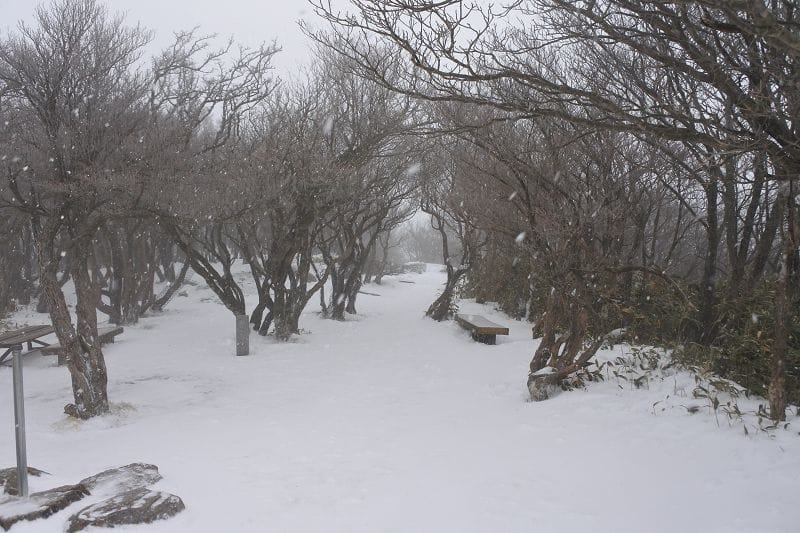 【三重湯之山溫泉】搭乘纜車前往御在所岳山頂秋有紅葉、冬有