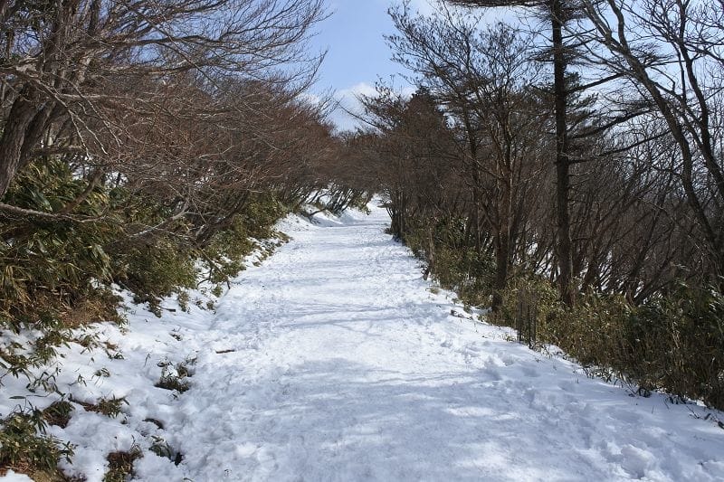 【三重湯之山溫泉】搭乘纜車前往御在所岳山頂秋有紅葉、冬有