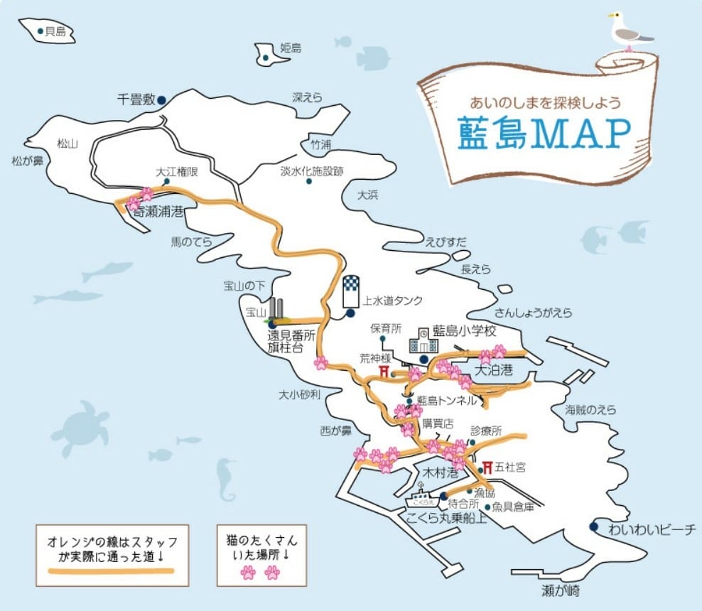 【福岡小倉】前往藍島傳說中的貓島