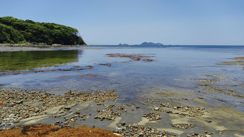 【福岡小倉】傳說中的貓島