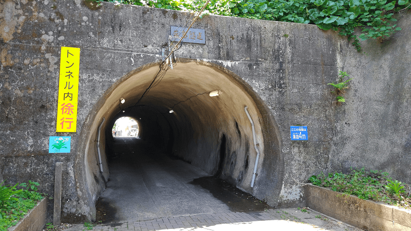 【福岡小倉】傳說中的貓島