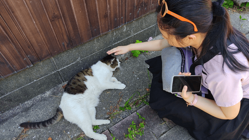 【福岡小倉】傳說中的貓島