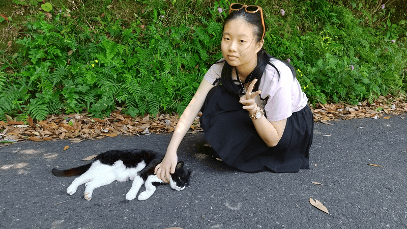 【福岡小倉】傳說中的貓島